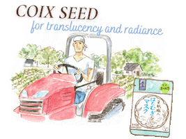 Japan Skincare Sticker by KOSÉ Cosmeport