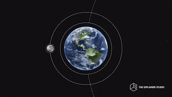 Water Earth GIF by The Explainer Studio