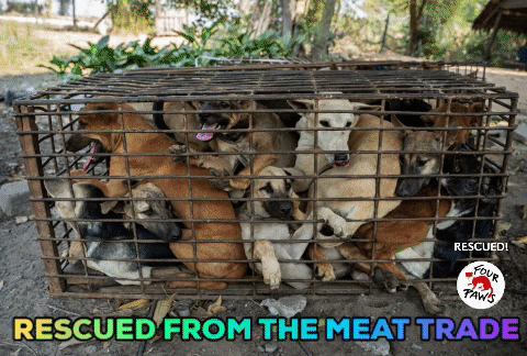 GIF uploaded by Mahd Wy’ry