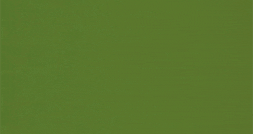 the brothers solomon