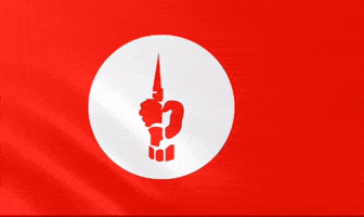 Red Flag Bangladesh GIF
