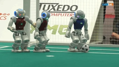 sport fuÃƒÂŸball GIF by Mitteldeutscher Rundfunk