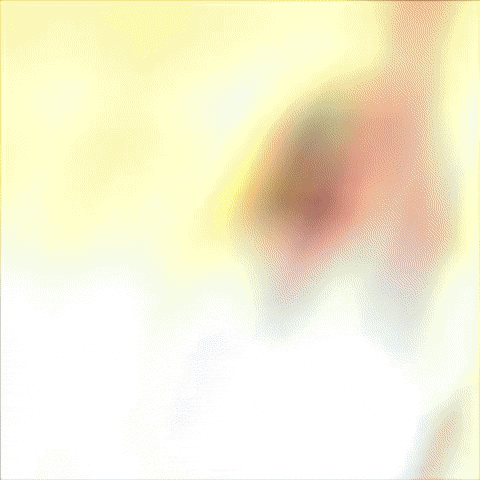 Aslam GIF