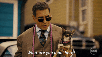 What Are You Doing Here GIF by tvshowpilot.com