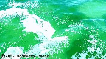 Water Agree GIF
