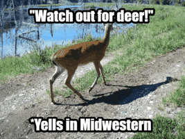 Friends Driving GIF by U.S. Fish and Wildlife Service
