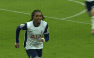 Tottenham Spence GIF