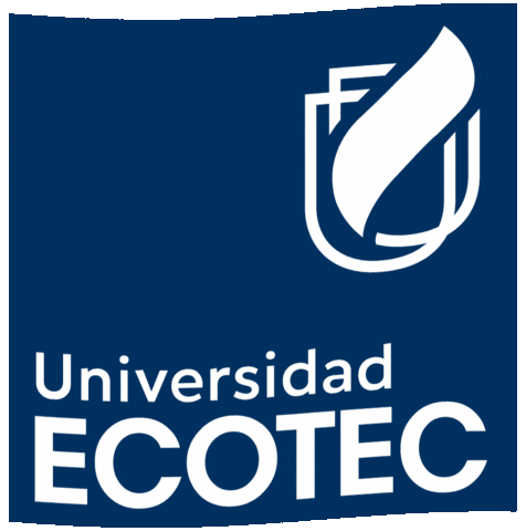 Education Flag GIF by ECOTEC Alumni