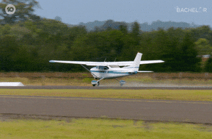 Flying Take Off GIF by The Bachelor Australia