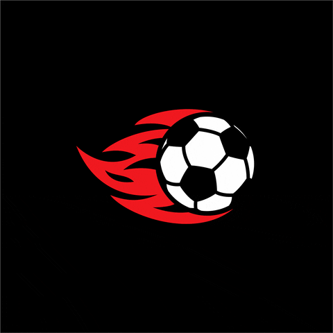 Sport Soccer GIF by Firebet