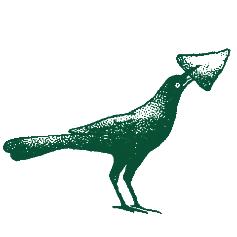 De Nada Cantina Sticker