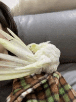 200.gif?cid=fc005b08b14d1f0c088d9dd79cca73db96e4df212003b9ce&rid=200.gif&ct=g