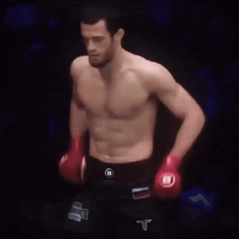 Ufc Mma GIF