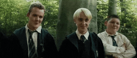 merve  GIF