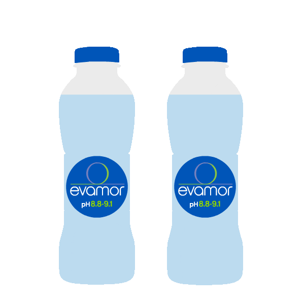 evamorwater Sticker