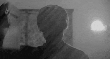 psycho alfred hitchcock GIF by hoppip
