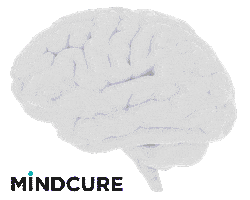Mental Health Brain Sticker by MINDCURE
