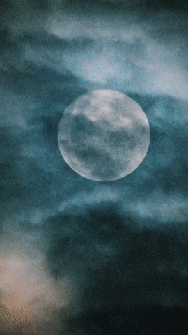 Full Moon GIF by ayshabilgrami