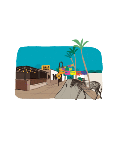 Los Cabos Beer Sticker by Baja Brewing Co.