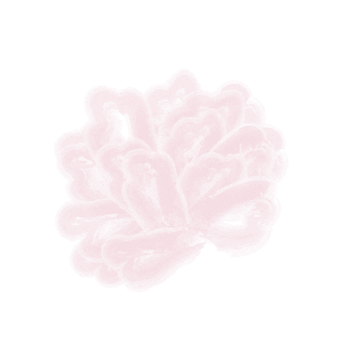 Pink Flower Sticker by Orosa Beauty