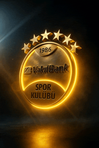Vbsk GIF by VakıfBank Spor Kulübü