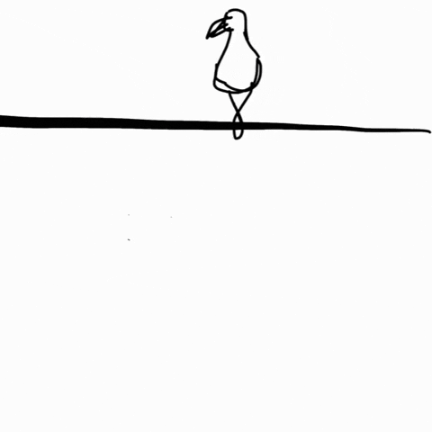 Bird On A Wire GIF by Barbara Pozzi