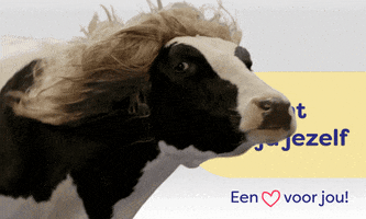 Ditismbo GIF by ROC Midden Nederland