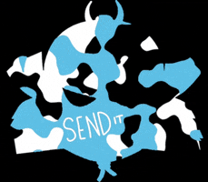 GIF by CrossFitShokunin