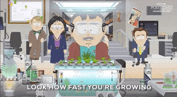 South Park gif. Old Randy Marsh in the Post COVID: Return of COVID special admires his weed plants while older Wendy, Tolkien, and Jimmy stare at him, saying, "Look how fast you're growing. Daddy loves you so much."