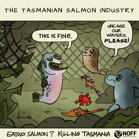 This Is Fine Atlantic Salmon GIF by NOFF Tasmania