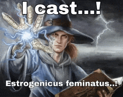 Wizard GIF