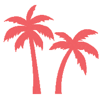 Palm Northies Sticker by The Sydney Collective