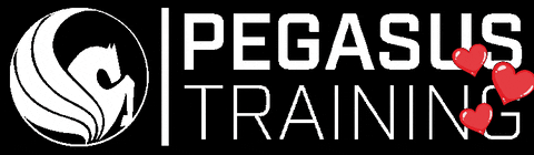 Pegasus Training GIF