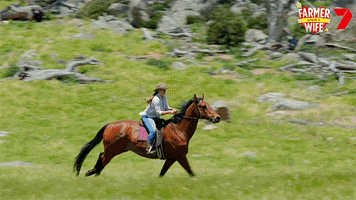 Snowy River Horse GIF by Channel 7