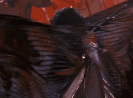 Vegas GIF