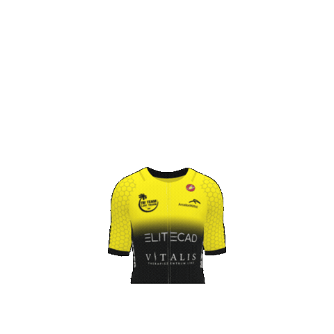 Triathlon Sticker by Tri Team 1.USC Traun
