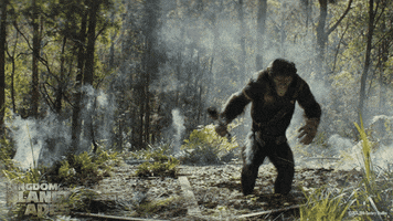 Planet Of The Apes GIF by 20th Century Studios