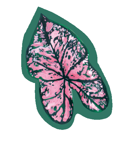 Fashion Boots Sticker by Enhorabuena Estudio