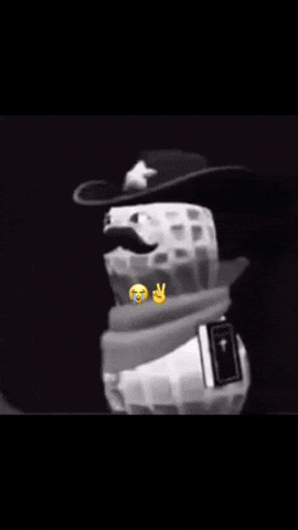 Dr Witnesser GIF