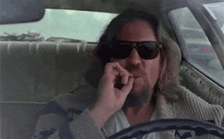 stoned the dude GIF