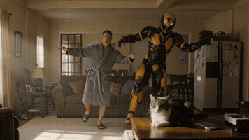 Cat Moving GIF by CaptainBNB ORIGIN