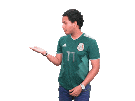Mexico Sticker