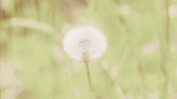 Day And Night GIF by Carly Rae Jepsen
