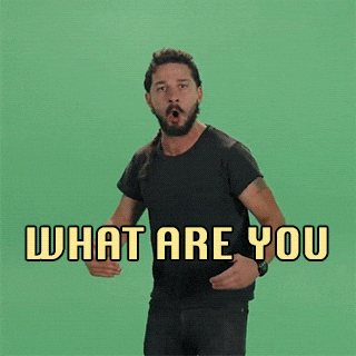 giphy.gif?cid=4d1e4f291548e1b4673a580f23