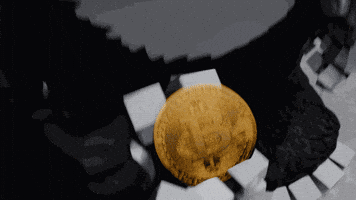 Serious Money GIF by Endangered Labs
