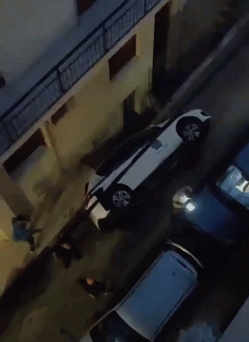 Mpatsoi GIF