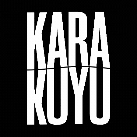 Karakuyu GIF by Kanal D