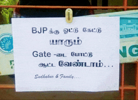 Politics Election GIF