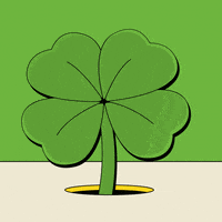 St Patricks Day Flower GIF by Curtains Cool