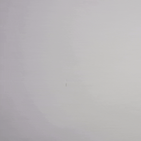 Vote Choice GIF by Election